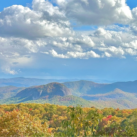 Meet your Posher, Cassie - Picture 3 of 9